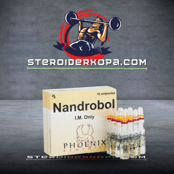 köp NandroBol 10 ampoules i Sverig
